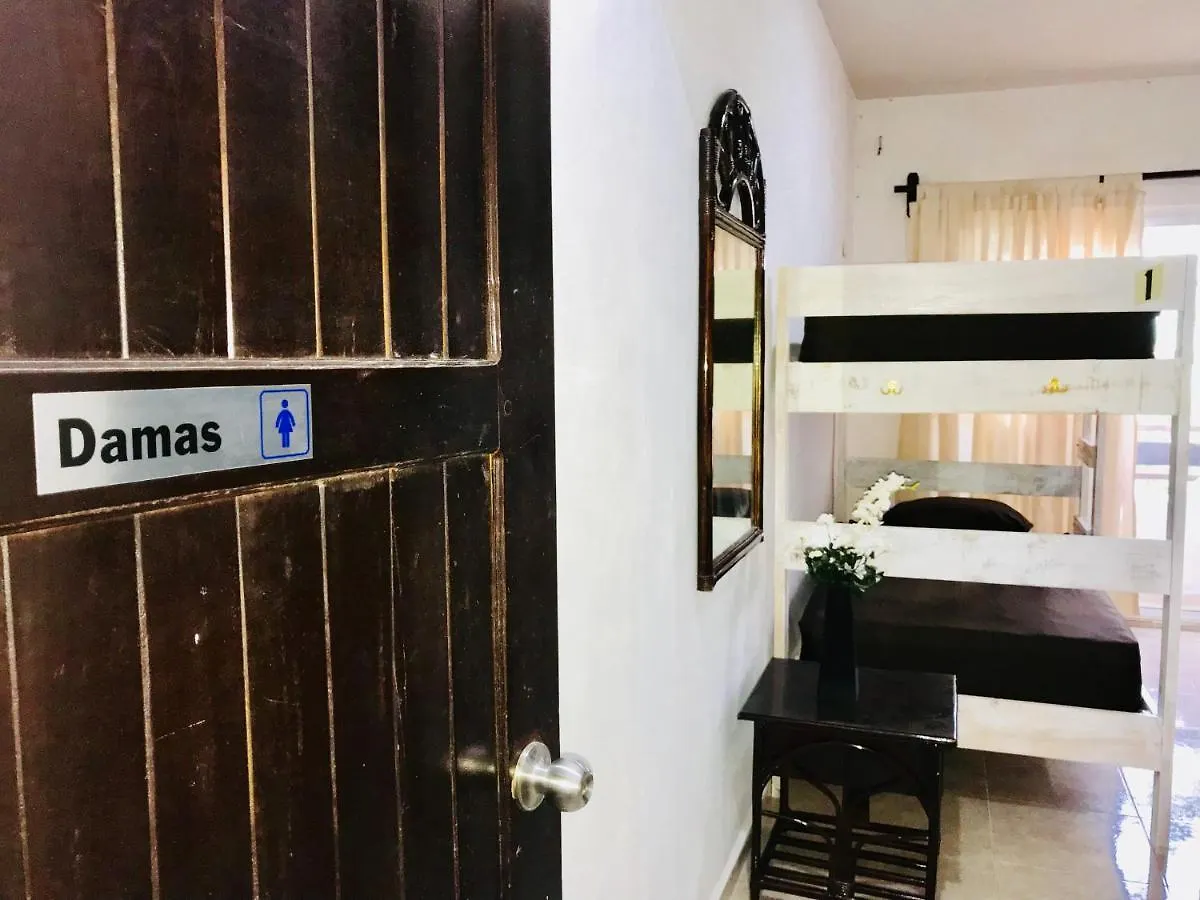 Bunk Bed In Female Dormitory Room location
