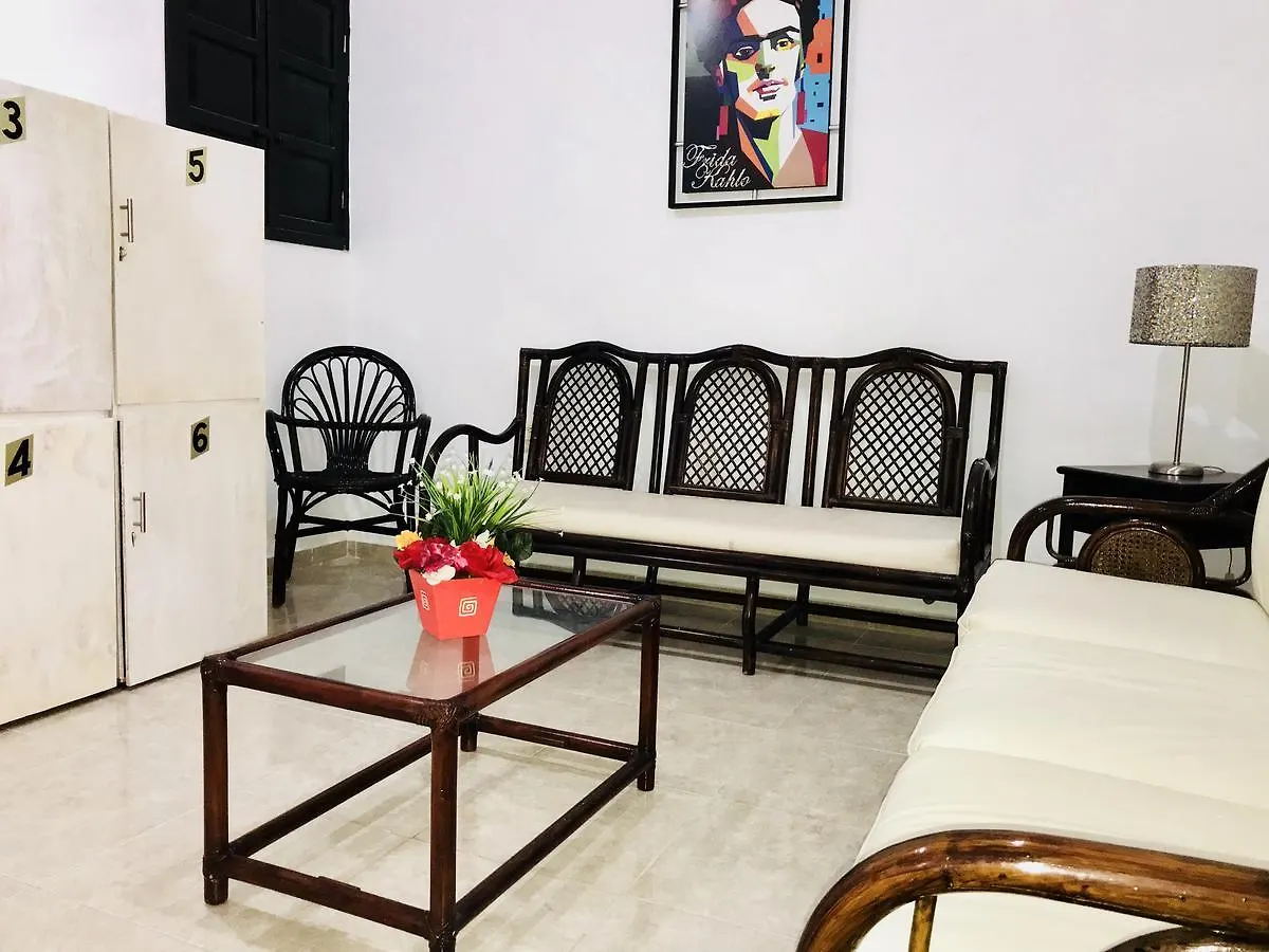 Bunk Bed In Female Dormitory Room Playa del Carmen Penzion